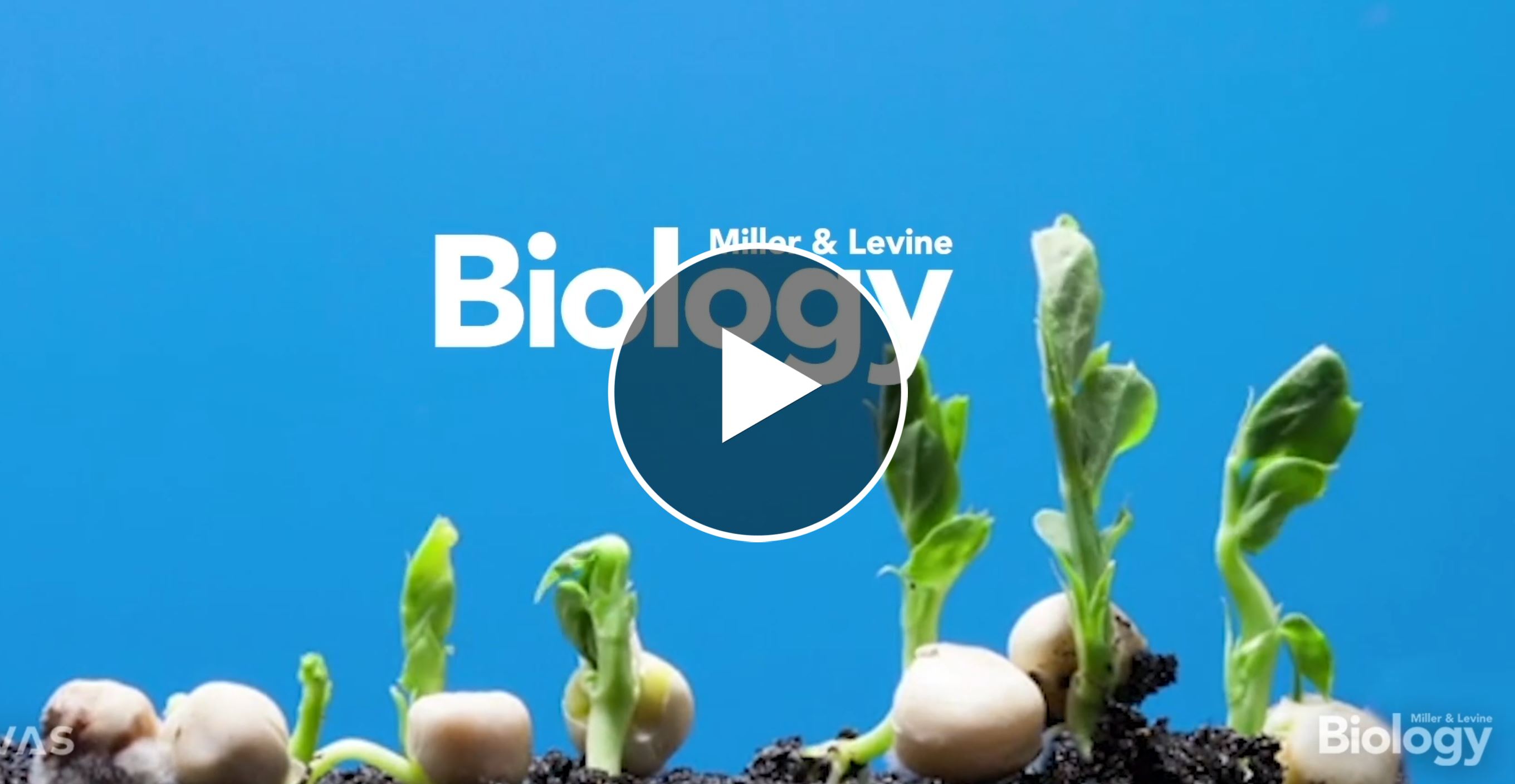 Program Introductory Video