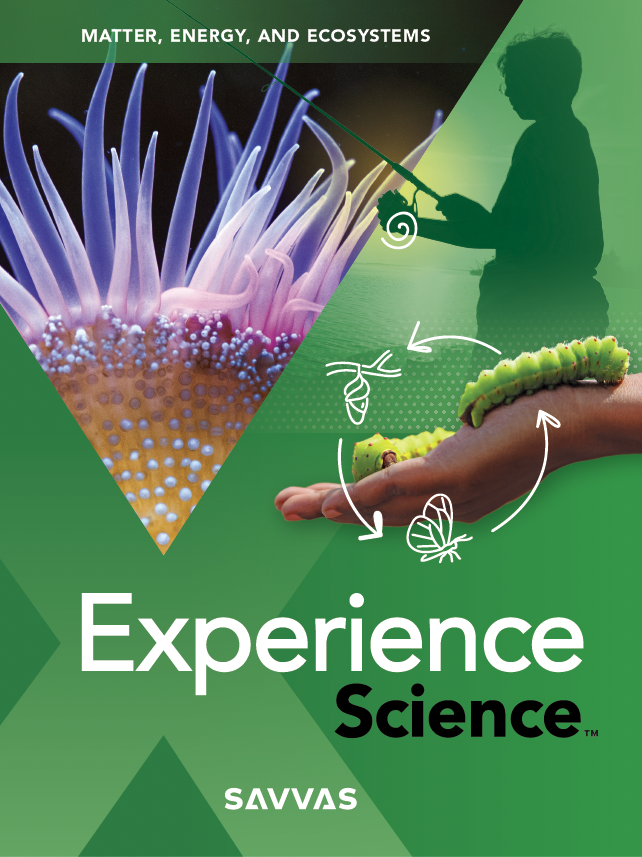 Matter Energy And Ecosystems